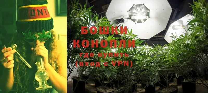 мега ссылки  Воркута  Бошки марихуана Ganja 